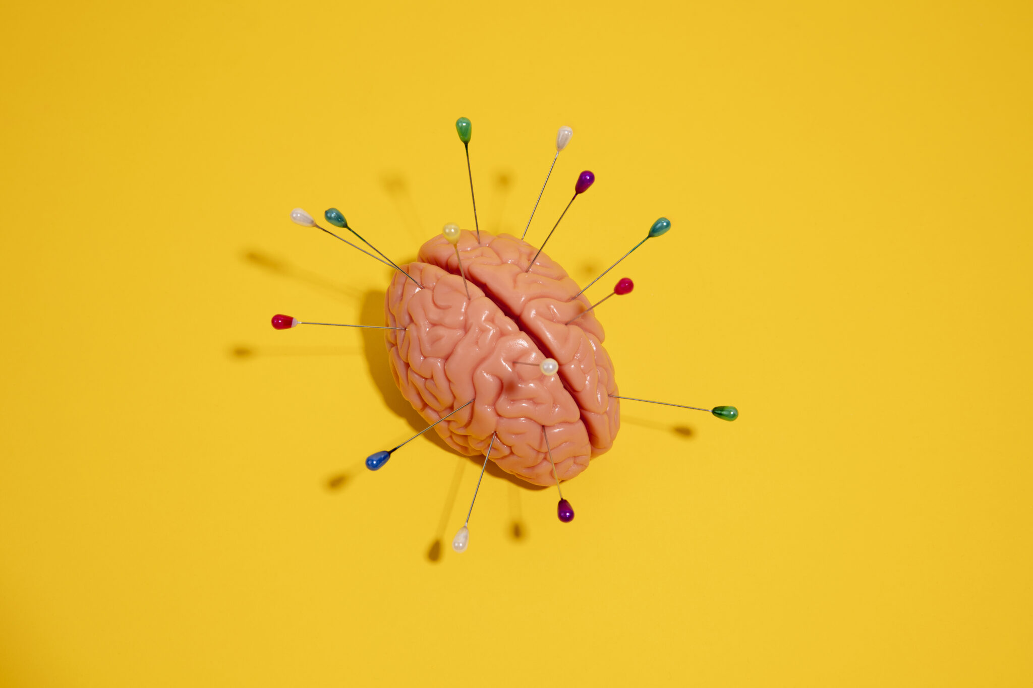 Plasticidade cerebral: remodelando a mente